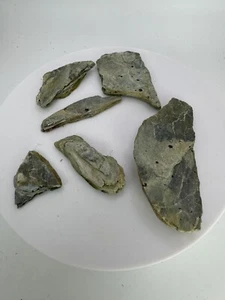 37g grüner Phyllit Chlorit Glimmer Schiefer Präparat mit Granateinschlüssen RAR - Bild 1 von 6