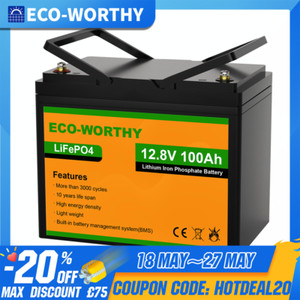 12V 100AH Lithium Battery Rechargeable LiFePO4 3000+ Deep Cycle Solar Panel RV