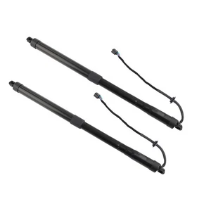 1x Power Liftgate Support Tailgate for Hyundai Santa Fe 2013-2019 81771B8100 - Picture 1 of 12