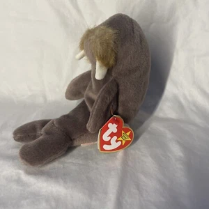 Ty Beanie Baby Jolly The Walrus DOB 12-2-96 #4088 nuovo con etichetta ritirato/errori/PVC - Foto 1 di 3