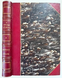 Georges Cuvier - Le Regne Animal. Vol.3 - Les Oiseaux / Vögel birds 1849 - Bild 1 von 1