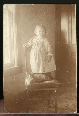FOTO MONTADA CDV TALLA NIÑA CON UN GATO NUEVO ESCOCIA NY CIRCA 1890 Foto 1 de 2
