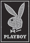 RIESEN Poster PLAYBOY - Bling Diamonds Logo  XL831