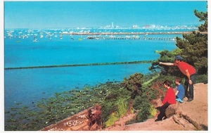 Dorset; View From Evening Hill, Poole PPC, Unused, By Photo Precision, c 1970's - Picture 1 of 2