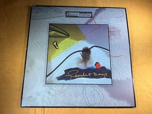 V5-68 MODERN ENGLISH Ricochet Days - 1984 - RECORD - POST-PUNK / NEW WAVE - Imagen 1 de 9