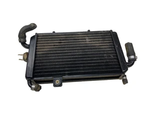 RADIATORE RADIATOR ACQUA ORIGINALE PIAGGIO HEXAGON 150 2T 1994-1996-1998 EXV1M - Photo 1/5