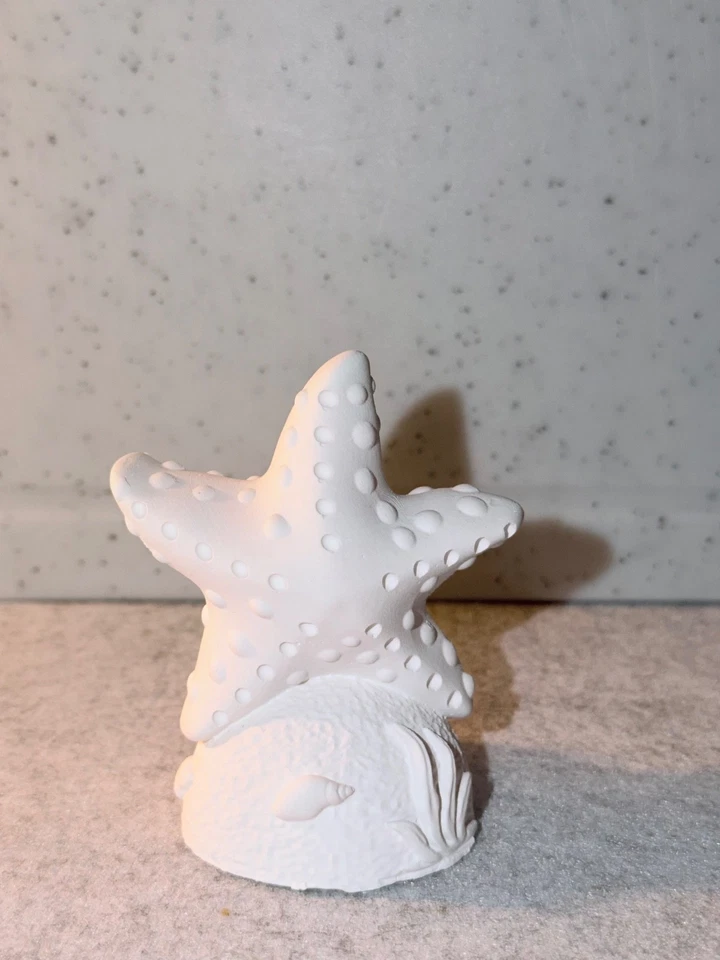 Seestern in weiss Keramikgips/ Deko - Bild 1 von 1