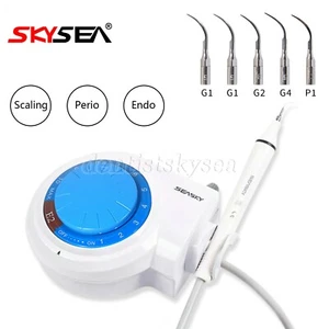 FDA Dental Ultrasonic Piezo Scaler Detachable Handpiece 5*Tips for Cavitron EMS - Picture 1 of 13