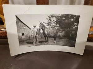 Antique postcard horse in front of barn unused vintage collectable 5 1/2 x 3 1/2 - Picture 1 of 2