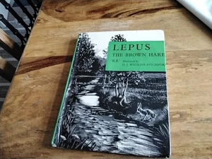 Lepus brown hare bb Watkins Pitchford - Picture 1 of 1