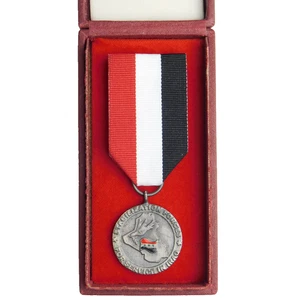 4602 POLNISCHE MULTINATIONALE DIVISION ZENTRAL-SÜD GEDENKABZEICHEN POLEN - Bild 1 von 6