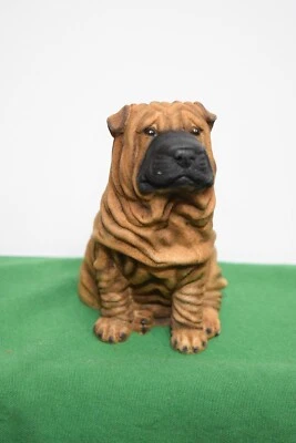 Castagna Shapei - Marrón #B15 - En excelente estado. Foto 1 de 4