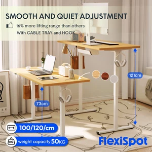 FLEXISPOT Standing Desk Quick Assembly Electric Sit Stand Desk with Desktop - Picture 1 of 37