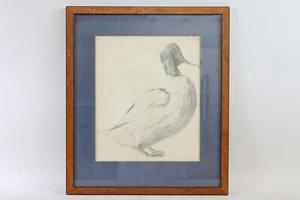 Ente Tierstudie Kohlezeichnung unleserlich signiert um 1900 (BM793) - Bild 1 von 11