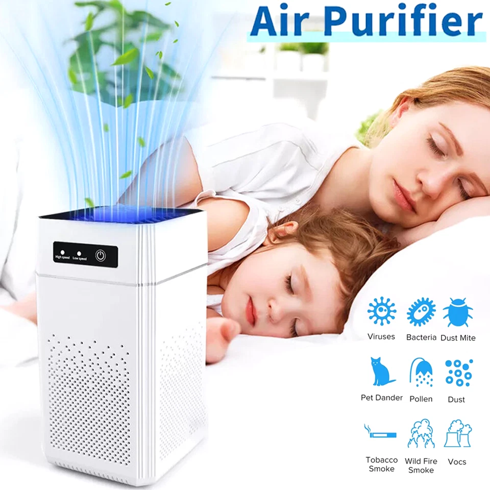 Air Purifiers H13 True HEPA Filter For Smoke Pollen Dander Hair Pets Smell Air - Image 1 of 4