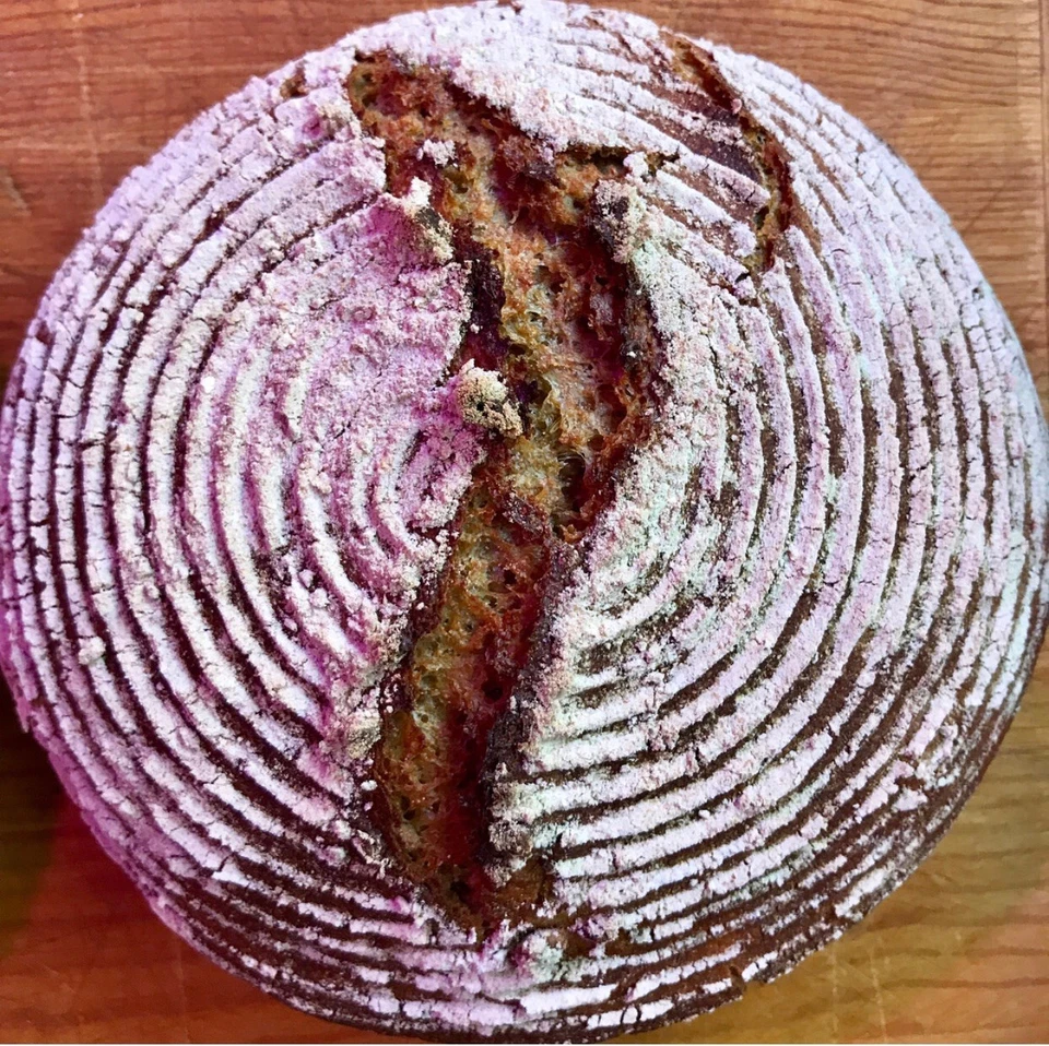 MOM'S HEIRLOOM SAN FRAN SOURDOUGH STARTER Organic Dark Rye Sourdough Starter- Family Heirloom Verified 236yr Old Heritage