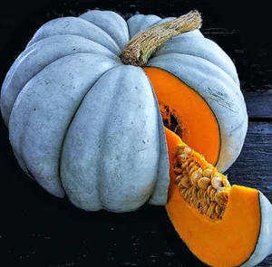Jarrahdale Blue Pumpkin Seeds - 30+ Count - For 2025 Planting Winter Squash - Picture 1 of 12