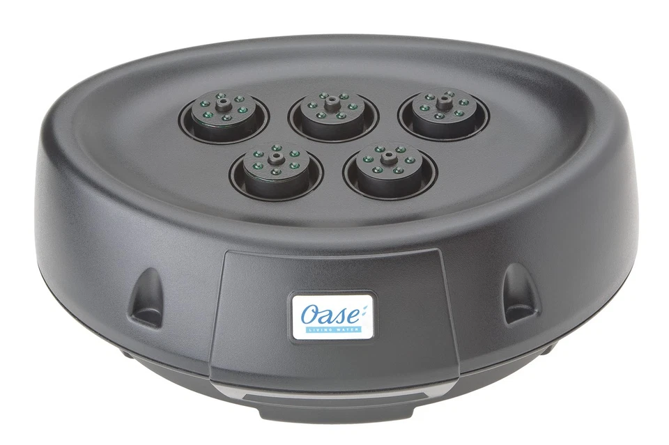 Water Starlet | wasserspiele - Bild 1 von 1