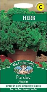 Mr Fothergill's - Herb - Parsley Afrodite Approx 500 seeds   