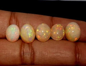 Lote de cabujones de ópalo de fuego etíope piedras preciosas de ópalo 5 piezas cabina 12,40 quilates fabricación de joyas - Imagen 1 de 8