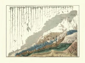 Mapa histórico - Geografía física mundial - Negro - 31,09 x 23 - Arte de pared vintage - Imagen 1 de 20