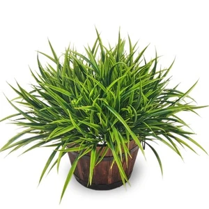AevrBlos 12 Bundles Artificial Outdoor Plants UV Resistant Fake Grass Plants - Picture 1 of 7
