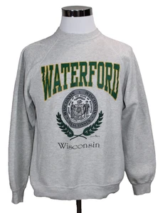 Vintage 90s Wisconsin Sweatshirt Hanes XL Waterford WI pullover crewneck Gray - Picture 1 of 7