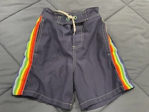 Boys Mini Boden Blue Rainbow Striped Bathing Suit Swim Trunks 5-6 Years - Picture 1 of 4