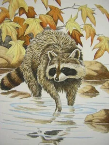 Grabado a mano Chapple Indian Summer Maccoon edición limitada - Imagen 1 de 1