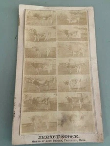 1860s Princeton MA Jersey Cattle Cow Stock Albumen Photograph CDV Price List 5" - Picture 1 of 4