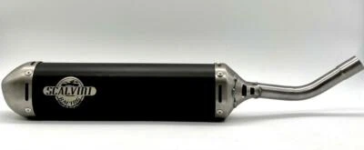 SILENZIATORE TERMINALE SCALVINI RACING INOX TM EN 250/300 (2015) - Immagine 1 di 2