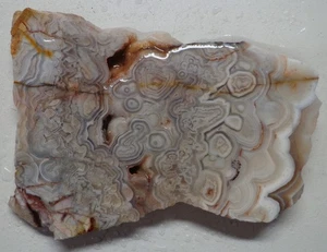 WRG- Mexican Crazy Lace Agate Slab 48 grams Mexico Lapidary Plume Moss - Picture 1 of 4