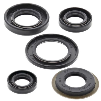 Winderosa Engine Motor Oil Seal Set Yamaha XT225 TTR225 TTR230 XT TTR 225 822308 - Image 1 of 4