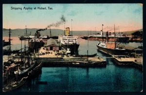 TASMANIA • ca1907 • Unused McVilly & Little Postcard • Shipping Apples at Hobart - Bild 1 von 2