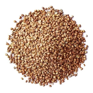 Gluten Free Organic Roasted Buckwheat Kasha – Toasted Non-GMO Whole Groats - Picture 1 of 29