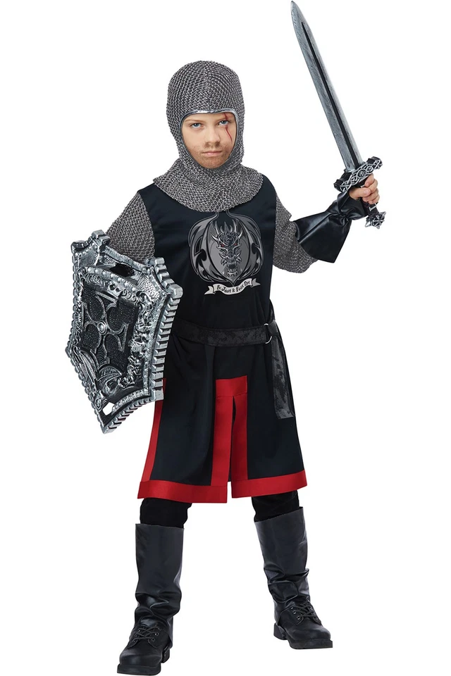 Dragon Boys Knight Costume Tunic Coif Hood Belt Gauntlets Halloween 00598 - Image 1 of 1