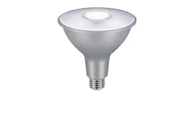 EcoSmart 150-Watt Equivalent PAR38 Dimmable Flood LED Spot Light Bulb Daylight