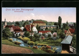 Pleissengrund, Ansichtskarte, Schweinburg 1929 - Picture 1 of 2
