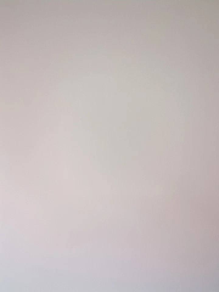 Luces delanteras Chevrolet Blazer S10/Jimmy S15 2000 Foto 1 de 1