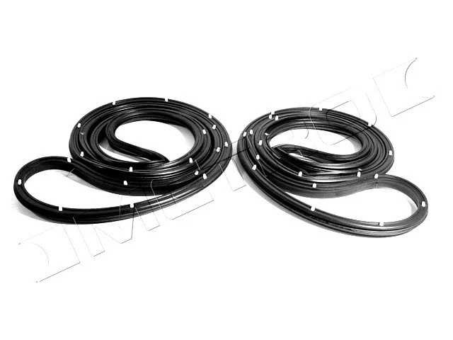 Buick Sport Station Wagon 1966-1967 nuevo goma puerta trasera sellos de resistencia a la intemperie, pr Foto 1 de 1