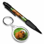 Pen &amp; Keyring (Round) - Ginger Guinea Pig Rodent #15574