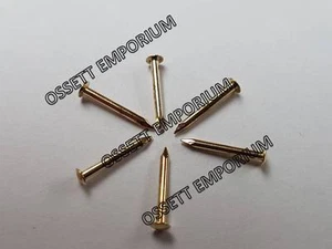 10mm (19g) 3/8" ESCUTCHEON PINS TACKS CHOOSE QTY ELECTRO BRASS FREE P&P - Picture 1 of 4