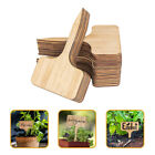  30 Pcs Plant Label Hollow Labels Wood Pile Succulent Planters