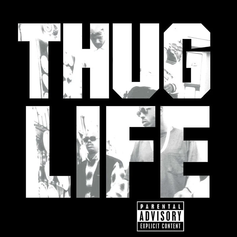 Tupac Shakur: Tupac Shakur: Thug Life: Vol. 1 (180g) - Universal Music  - (LP / - Bild 1 von 1