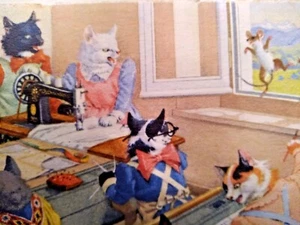 Postal de colección Alfred Mainzer Max Kunzli gatos felinos Suiza ¡Linda! #4675 - Imagen 1 de 3