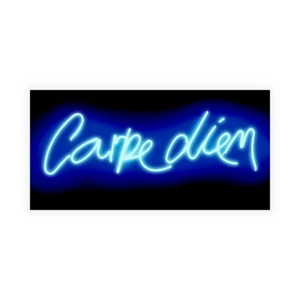 Impresión En Lienzo En Papel Póster O Cuadro Carr Hailey NEON Carpe Diem BB - Imagen 1 de 2