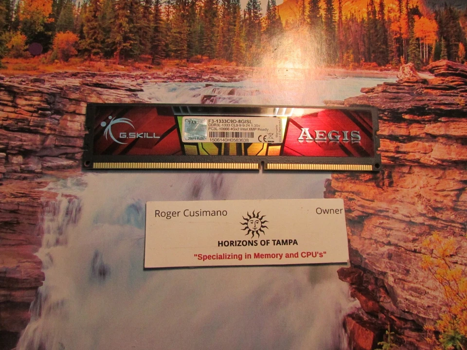 G. Skill Aegis DDR3 4 GB Dimm 240-pin 1333 MHz F3-1333C9D-8GISL - SINGLE - Image 1 of 1