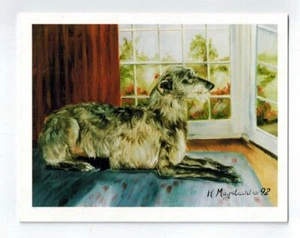Nuovo Scottish Deerhound Looking Out Window 12 biglietti appunti di Ruth Maystead SCD-2 - Foto 1 di 7