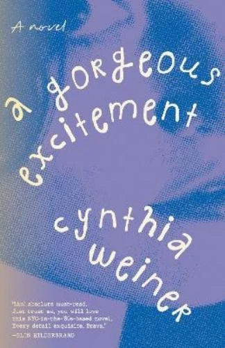 Cynthia Weiner A Gorgeous Excitemen (Paperback) (UK IMPORT) (PRESALE 20/01/2026) - Image 1 of 1