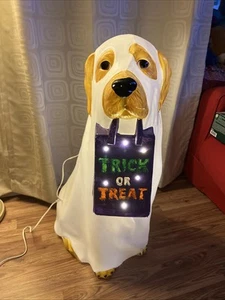 Golden Retriever Halloween Dog Blow Mold Ghost LED 2023 2.5’ Rare Trick or Treat - Picture 1 of 10